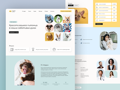 Pets Salon Website design landing page ui ux web