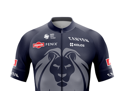 Concept Jersey Team 4gold #concept #branding #cycling