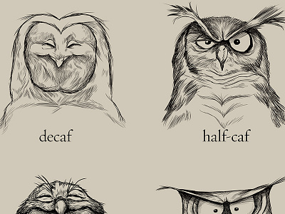 dribbbling caffeine caffeine coffee illustration owls