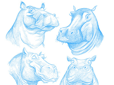 hungry character design hippos illustration