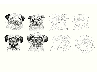 Pugs character design characters illustration