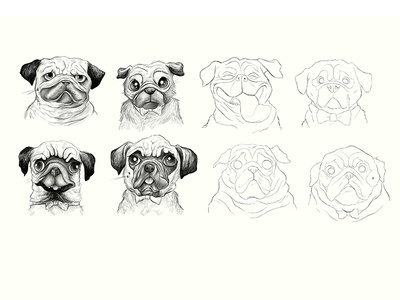 Pugs