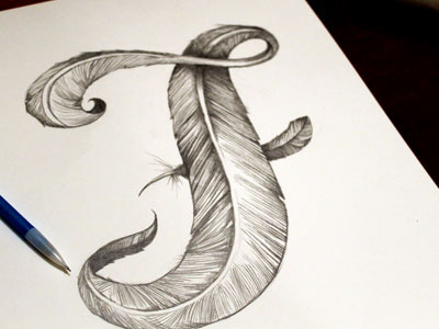 F For Feather feather handdrawn type illustration pencil drawing typography
