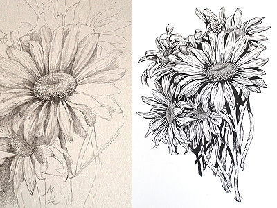 Daisies process