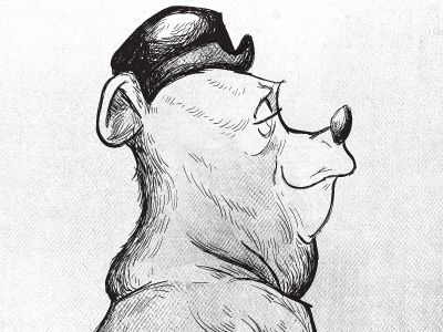 Bears & Bowlers bear bear portrait illustration profile