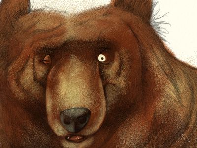 Over there bear illustration sketch textures