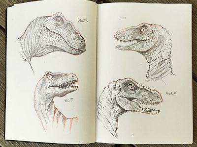 Sketching Raptors illustration jurassic world pencil drawing pencils sketchbook