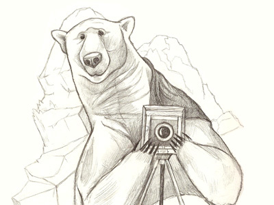 Polar