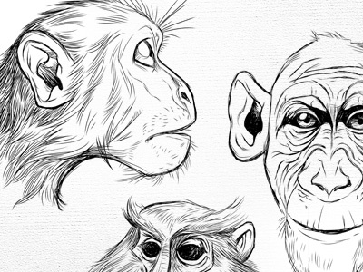 monkeys in the works chimps illustration monkeys space monkeys