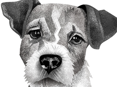 Uggie dog illustration illustration terrier texture the artist uggie