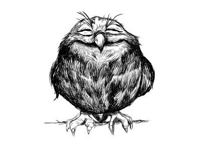 Owly Ball