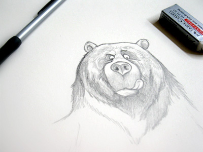Sketching Bears bear illustration pencils sketch
