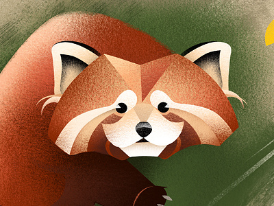 firefox animals childrens book illustration firefox illustration red panda