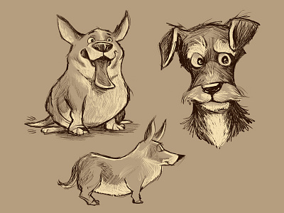 Tuck and Roll character design corgi illustration terrier