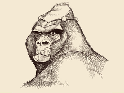 grodd