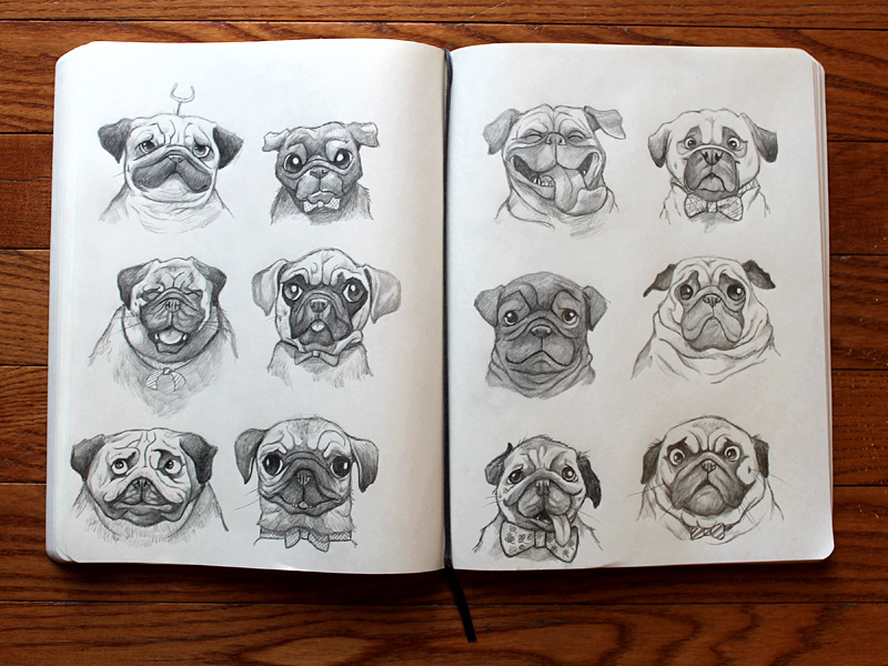 pugs illustration sketches pugs sketchbook pug drawing character designs