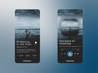 Daily UI #009 - Music Player dailyui design landingpage ui