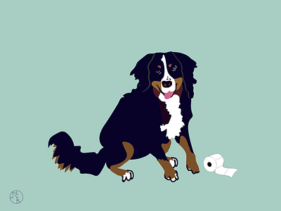 Robicheaux and TP berner bernese mountain dog pet illustration toilet paper