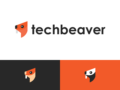 Visual Identity for techbeaver branding developers logo design logodesign logos logotype technology visual design visual identity website development