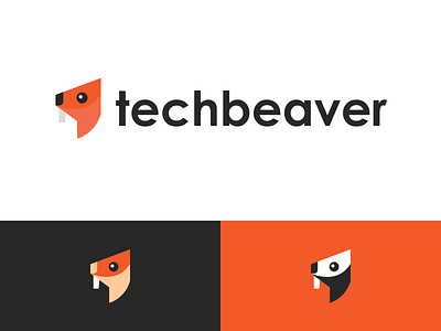 Visual Identity for techbeaver