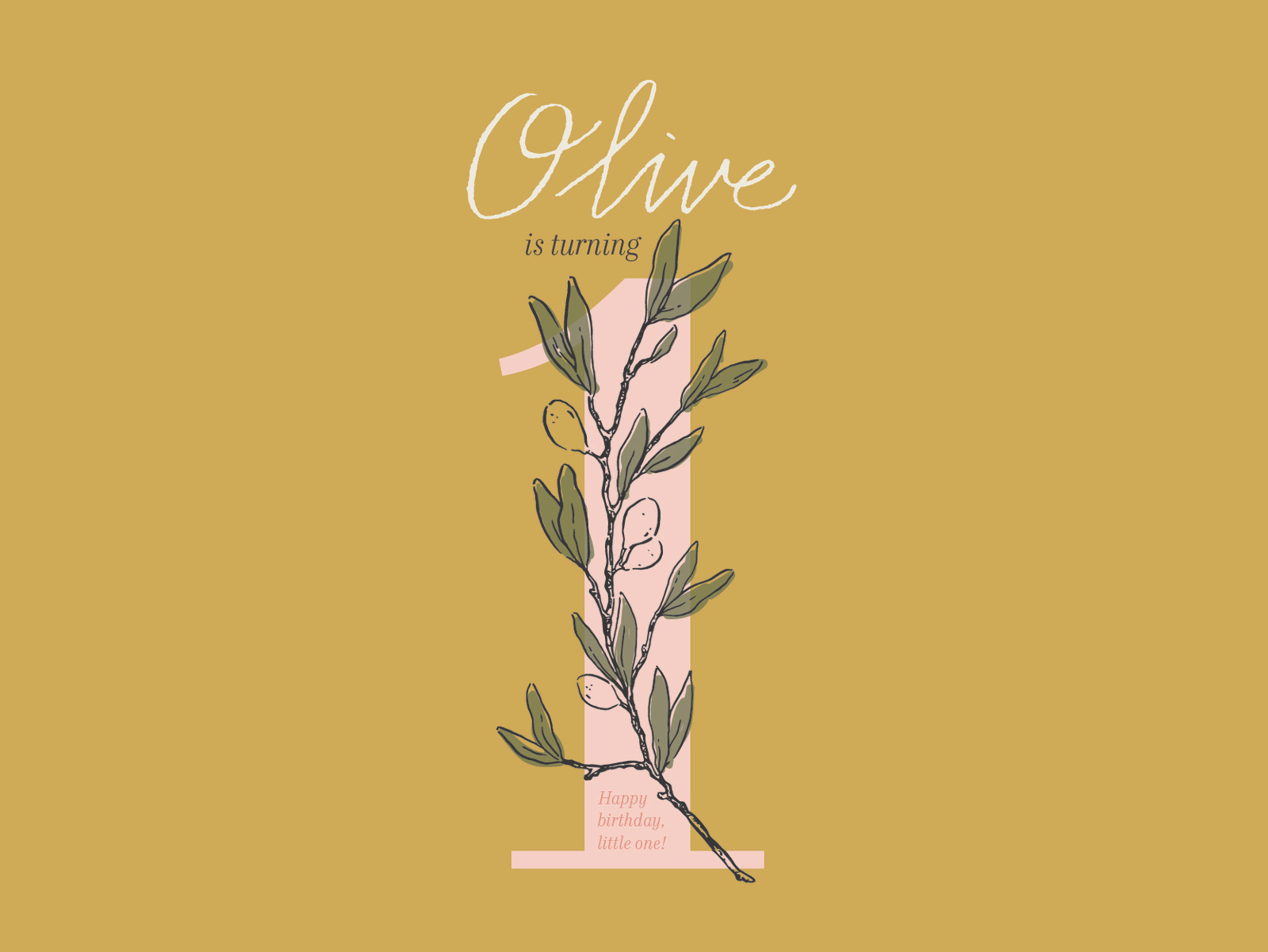 Olive’s first birthday by Emily Dubrovsky on Dribbble