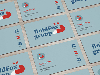BoldFox Group