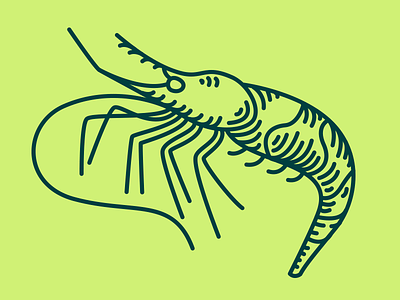 Shrimp bbq book design food graphic illustration lineart recipe shrimp vector