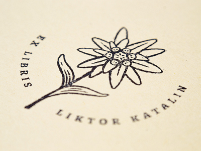 Ex libris Liktor Katalin bookplate botanical design edelweiss emblem ex libris flower logo rubberstamp stamp