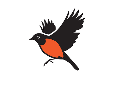 Flying Robin bird logo brand design illustration logo robin vector