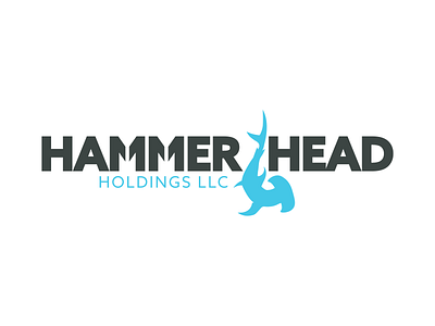 Hammer Head Holdings branding design graphic design illustration logo vector