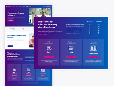Pricing page design and illustration / iconography blue bold colour gradient icon design iconography pricing design pricing package design pricing packages pricing page design saas website software website web design webdesign website design
