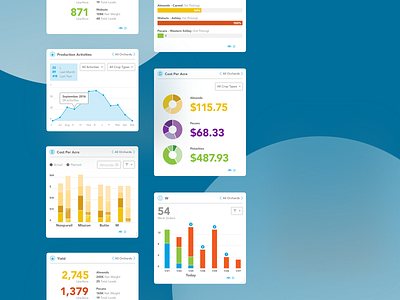 Conservis Case Study