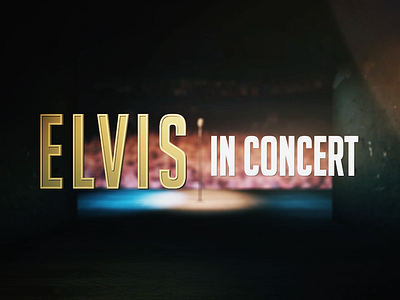 Elvis In Concert