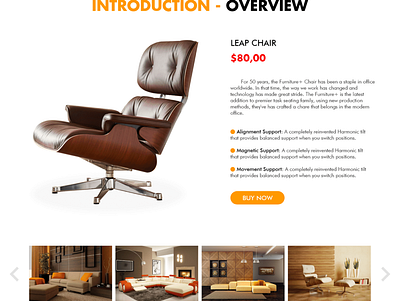 Furniture Website design