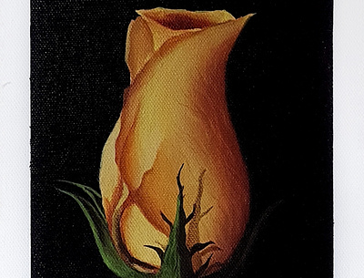 Rose acrylicpainting acrylicpaints artist digital illustration illustrator painting paintingoncanvas paintings realistic semirealistic traditionalart traditionalartist