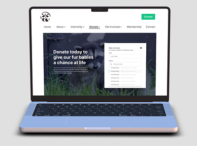 Redesigning A Non Profit Donation Experience branding design graphic design ui ux web design