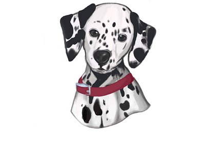 Puppy dog dalmatian