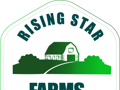 Farm logo branding illustration logo