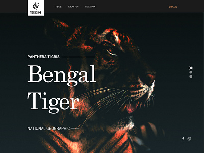 Bengal Tiger design illustration ui