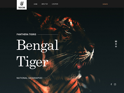 Bengal Tiger