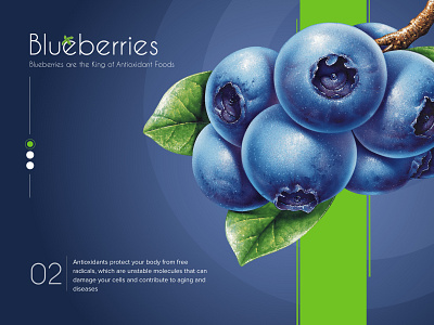 blueberries banner branding design sketch ui