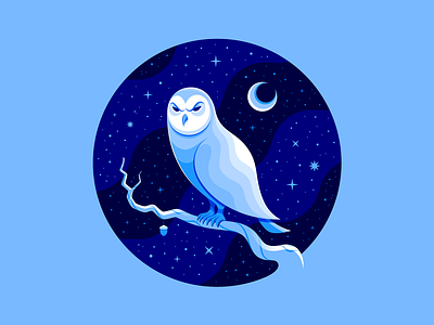 ✨ Snowy Owl ✨