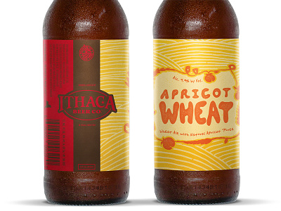 Rebrand - Apricot Wheat beer bottle label typography wip