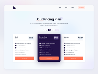 Pricing Plan Page Concept