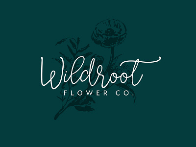 WildRoot Flower Co. Branding branding illustration lettering logo