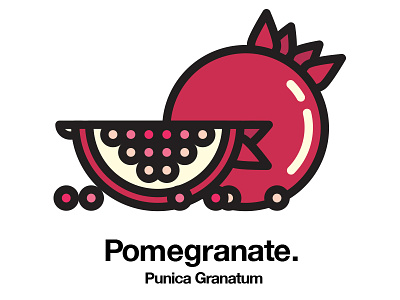 Pomegranate fruit geometric healthy icon