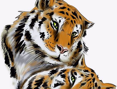 Tigers symbol of the year branding design graphic design illustration logo typography