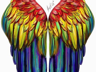 Macaw parrot wings. tropics.