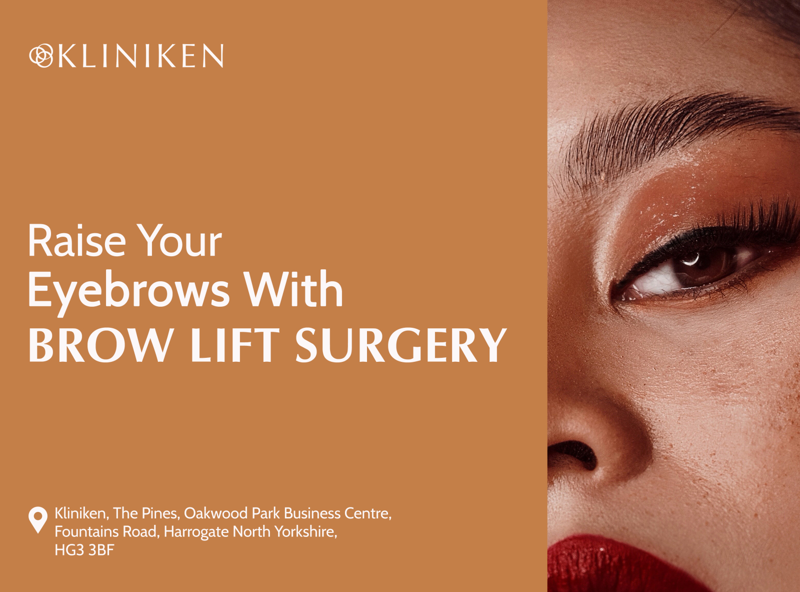 Raise Your Eyebrows With Brow Lift Surgery By Kliniken On Dribbble