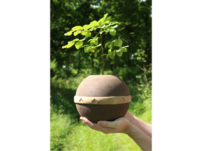 Secure Haven | Biodegradable Urns